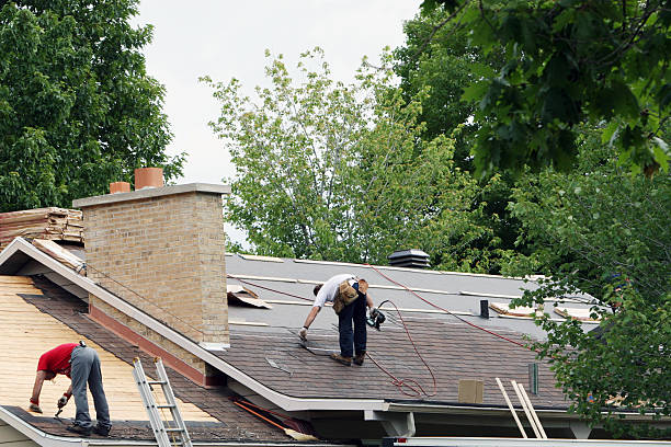 Best Skylight Installation and Repair  in Benton Heights, MI